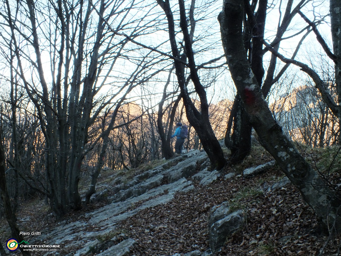 11 Sul sentiero 571.JPG